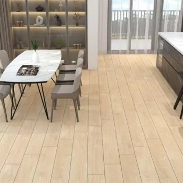 Gạch lót sàn đồng tâm 20120BANYAN004-H+ Porcelain kháng khuẩn