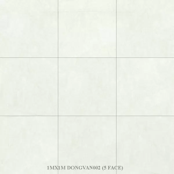 Gạch Đồng Tâm 100x100 DONGVAN002-FP-H+ Porcelain Kháng Khuẩn