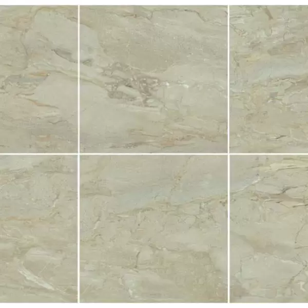 Gạch Đồng Tâm 600x600 TRANGAN002-FP Porcelain