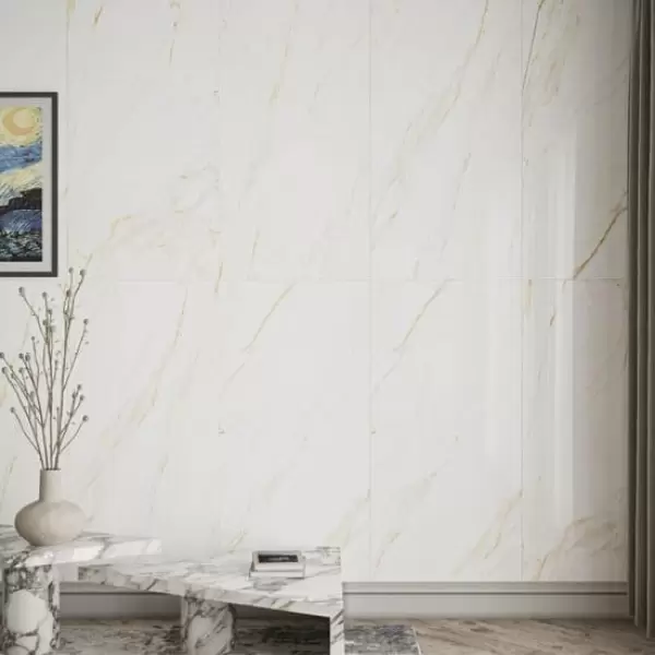Gạch Đồng Tâm 60x120 LANGBIANG001-FP-H+ Porcelain Kháng Khuẩn