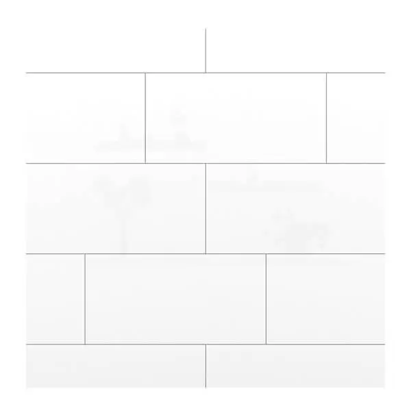 Gạch Ốp Đồng Tâm 30x60 SNOW001 Ceramic
