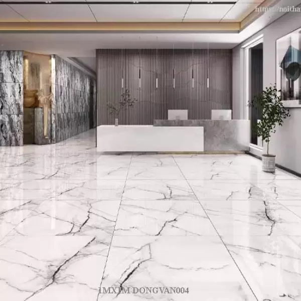 Gạch Đồng Tâm 1000x1000 DONGVAN004 Porcelain Kháng Khuẩn