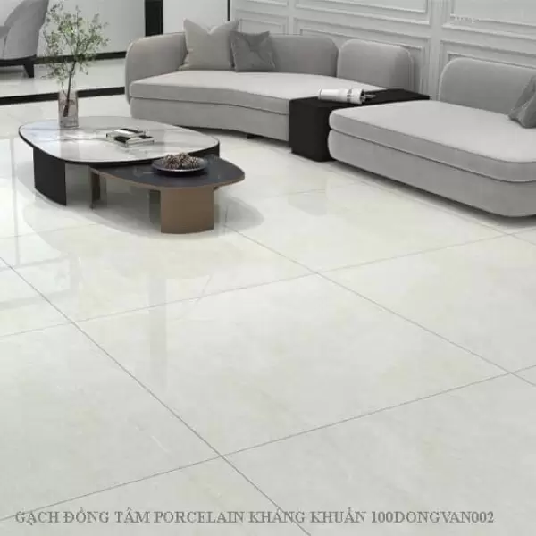 Gạch Đồng Tâm 100x100 DONGVAN002-FP-H+ Porcelain Kháng Khuẩn