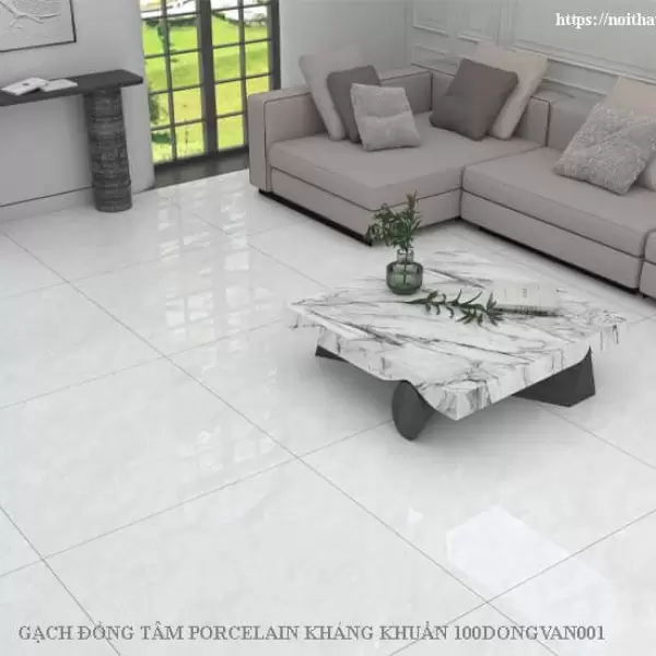 Gạch Đồng Tâm 1mx1m DONGVAN001-FP-H+ Porcelain Kháng Khuẩn