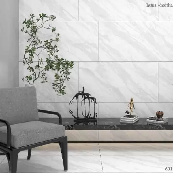 Gạch Đồng Tâm 60x120 NILE002-H+ Porcelain Kháng Khuẩn
