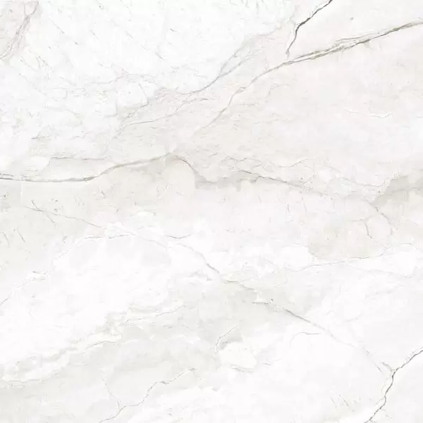 Gạch 60x120 Đồng Tâm 60120LANGBIANG008-FP-H+ Porcelain Kháng Khuẩn