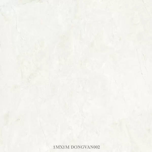 Gạch Đồng Tâm 100x100 DONGVAN002-FP-H+ Porcelain Kháng Khuẩn