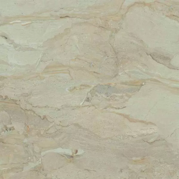 Gạch Đồng Tâm 600x600 TRANGAN002-FP Porcelain