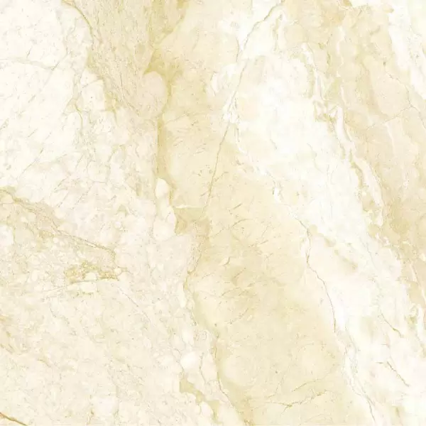Gạch Đồng Tâm 6060DONGVAN006-FP-H+ Porcelain Kháng Khuẩn