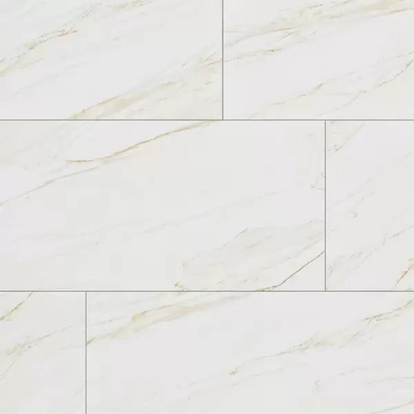 Gạch Đồng Tâm 60x120 LANGBIANG001-FP-H+ Porcelain Kháng Khuẩn