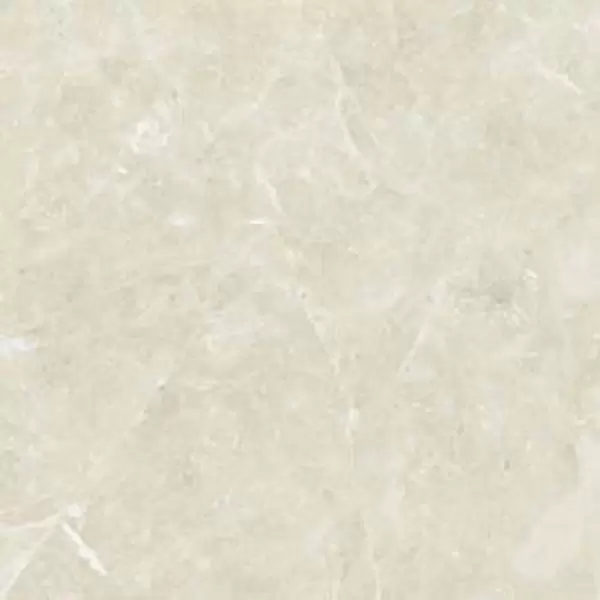Gạch Lát Nền 60x60 Đồng Tâm TRUONGSON005-FP Porcelain