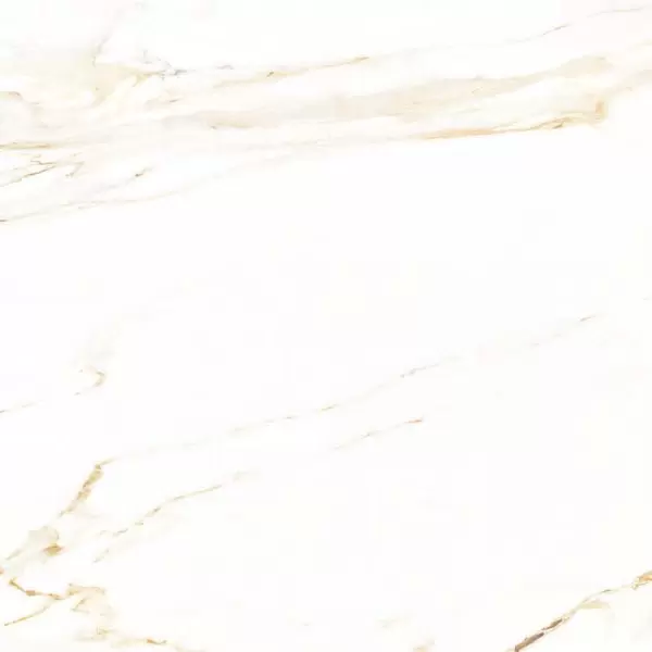 Gạch Đồng Tâm 60x120 LANGBIANG001-FP-H+ Porcelain Kháng Khuẩn
