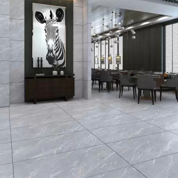 Gạch 60x120 Đồng Tâm NILE005-H+ Porcelain Kháng Khuẩn