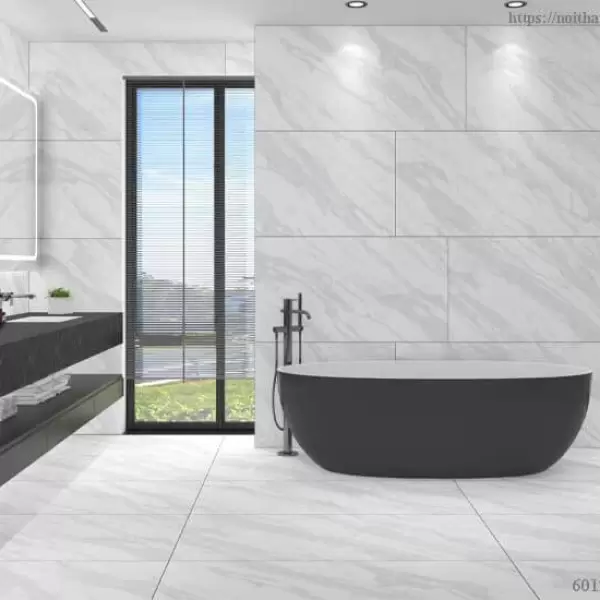 Gạch Đồng Tâm 60x120 NILE002-H+ Porcelain Kháng Khuẩn