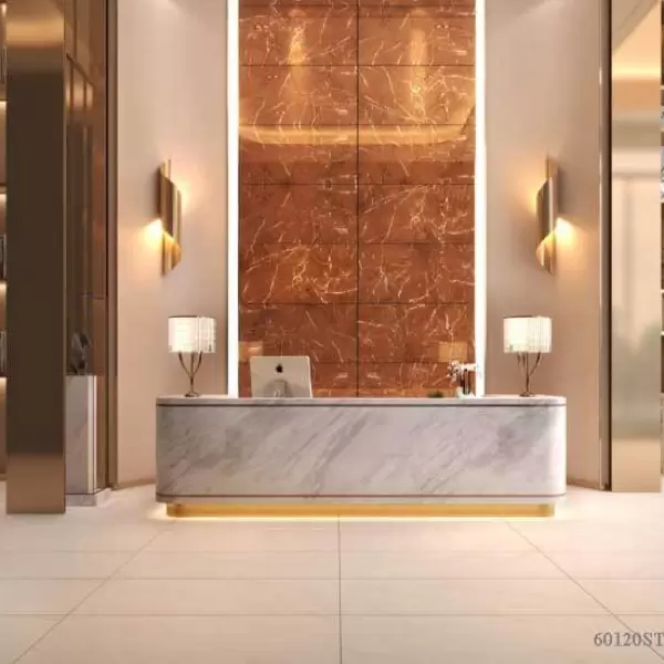 Gạch Đồng Tâm 60x120 STONE004-FP-H+ Porcelain Kháng Khuẩn