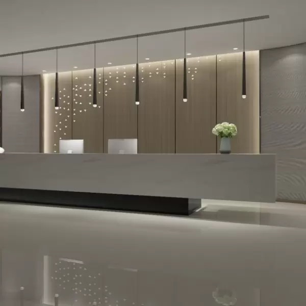 Gạch Đồng Tâm 80x80 FANSIPAN 007-FP-H+ Porcelain Kháng Khuẩn