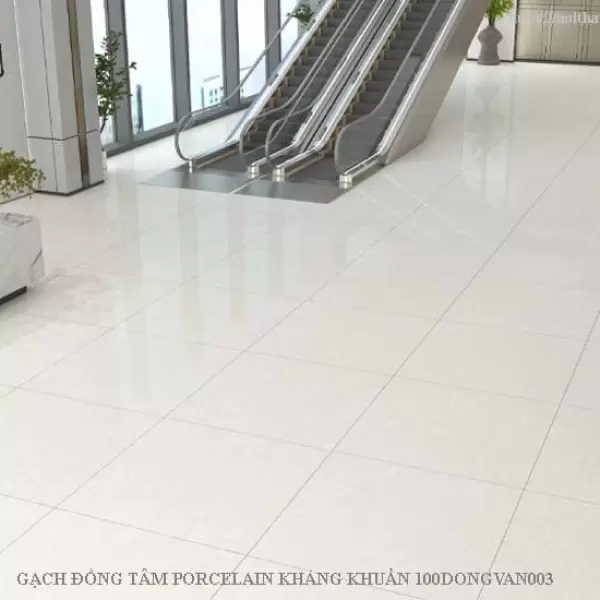 Gạch Lát Nền Đồng Tâm 100x100 DONGVAN003-H+ Porcelain Kháng Khuẩn