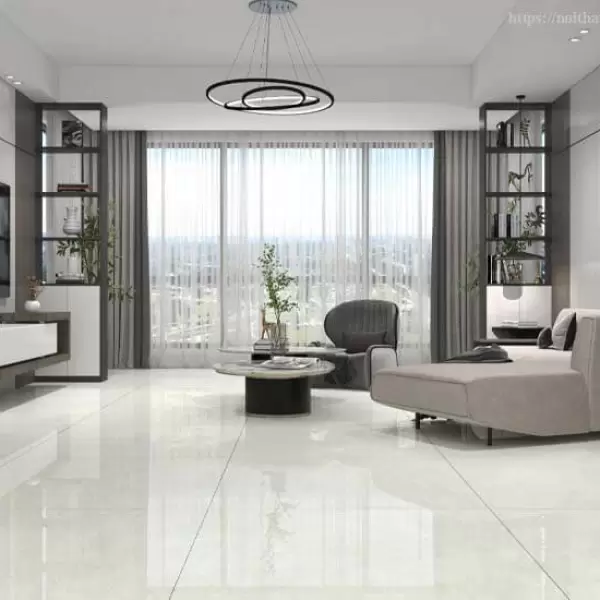 Gạch Đồng Tâm 100x100 DONGVAN002-FP-H+ Porcelain Kháng Khuẩn