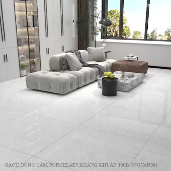 Gạch Đồng Tâm 1mx1m DONGVAN001-FP-H+ Porcelain Kháng Khuẩn