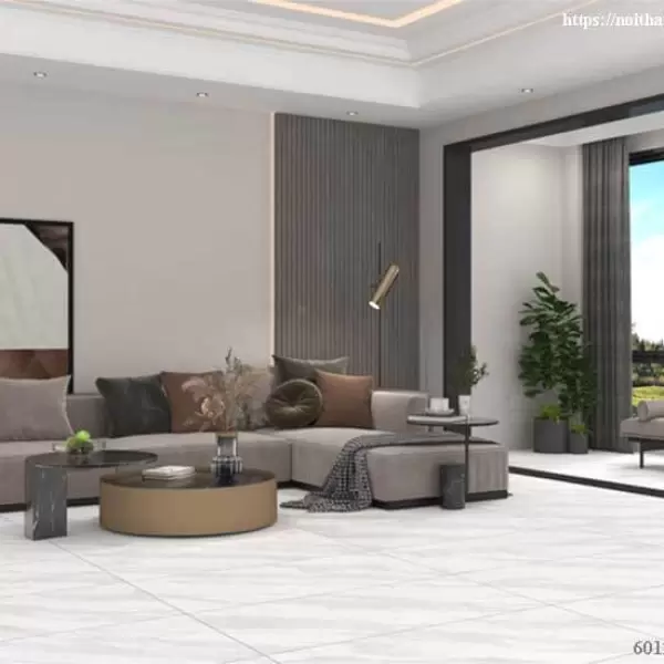 Gạch Đồng Tâm 60x120 NILE002-H+ Porcelain Kháng Khuẩn