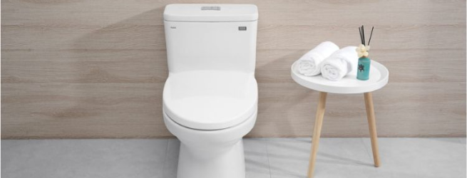 Vì sao chọn bồn cầu inax 1 khối cho gia đình của bạn