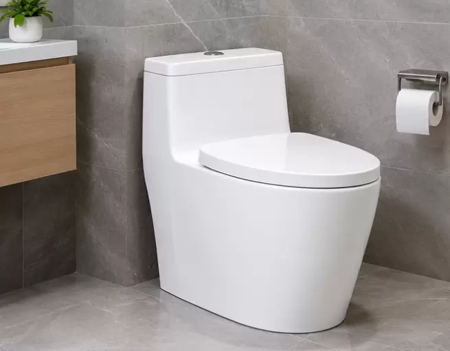 BỒN CẦU INAX 1 KHỐI – KINH NGHIỆM LỰA CHỌN MẪU PHÙ HỢP CHO PHÒNG TẮM HIỆN ĐẠI