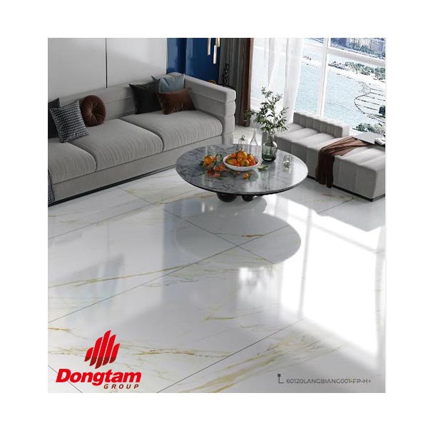 Gạch Đồng Tâm 60x120 là dòng gạch kích thước lớn, phù hợp cho những không gian rộng rãi