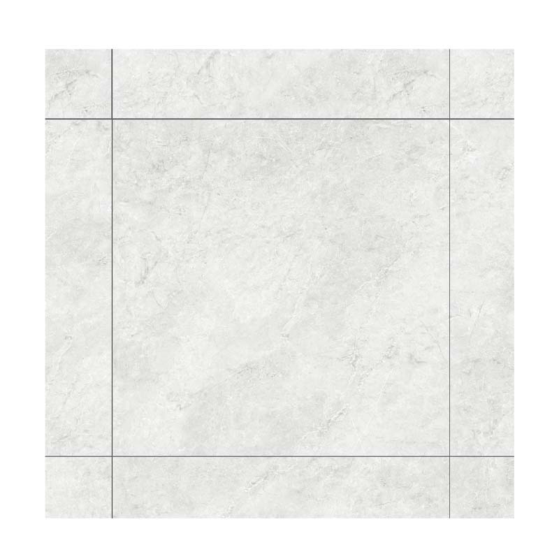 Gạch Đồng Tâm Porcelain 8080DONGVAN009-FP-H+ kháng khuẩn