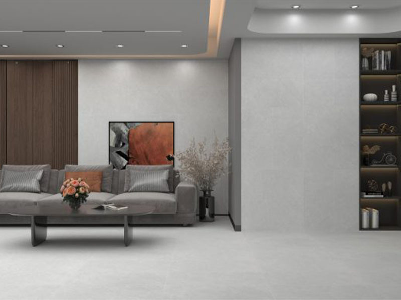 Cận cảnh gạch Đồng Tâm 40x80 SAPA003-H+