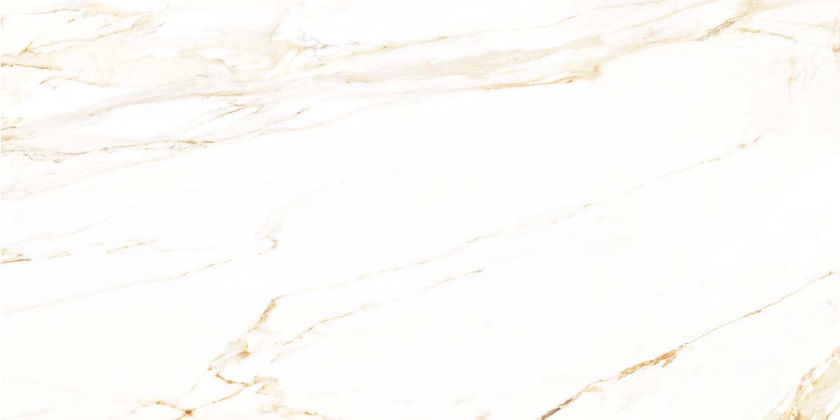 Gạch Đồng Tâm 60x120 LANGBIANG001-FP-H+ với bề mặt bóng, chất liệu Porcelain cao cấp và thiết kế sang trọng