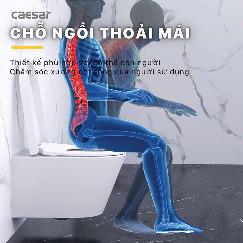 Bàn cầu bệt Caesar có thiết kế chỗ ngồi thoải mái với cơ thể con người, giúp bảo vệ cột sống