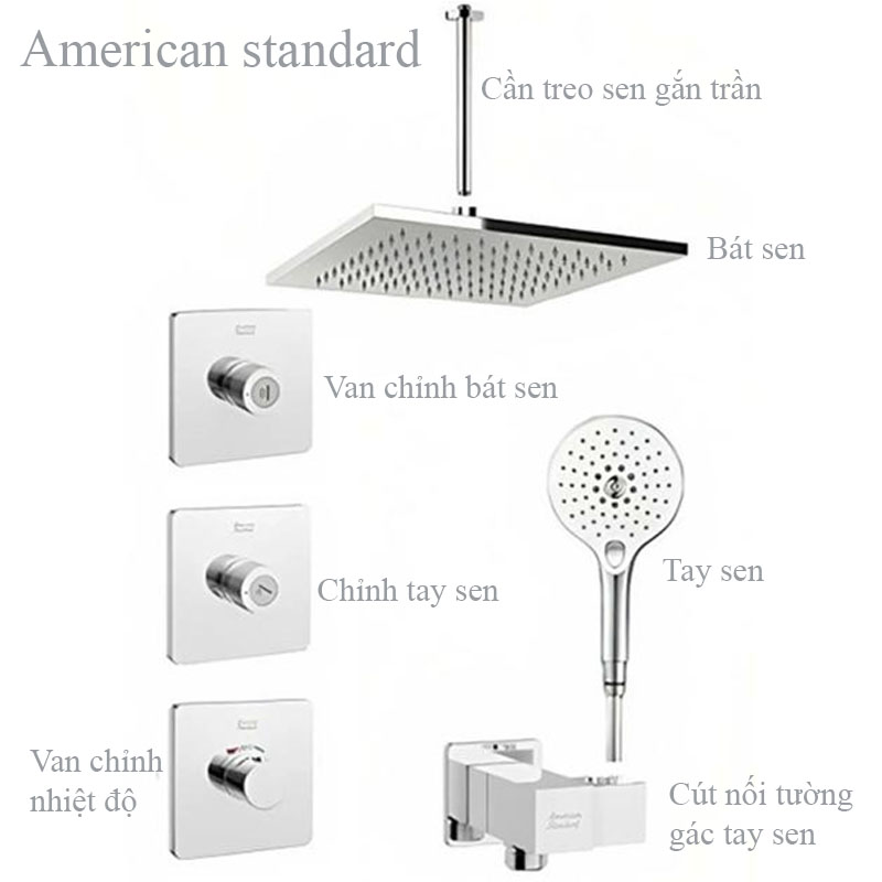 ​​​​​​​Sen âm trần American Standard chính hãng giá tốt tai Nội Thất Hưng Phát