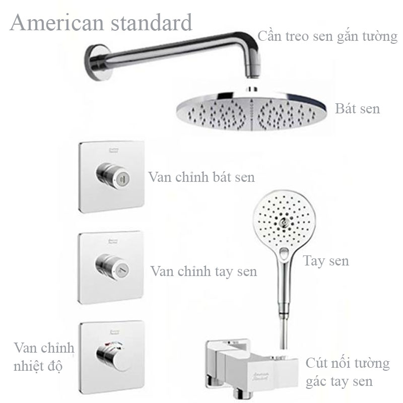 Sen âm tường American Standard giá tốt tại Hưng Phát HCM