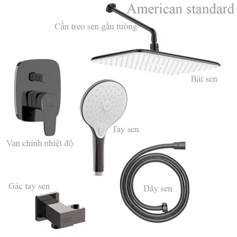 Combo sen tắm âm tường American Standard màu xám đen chính hãng