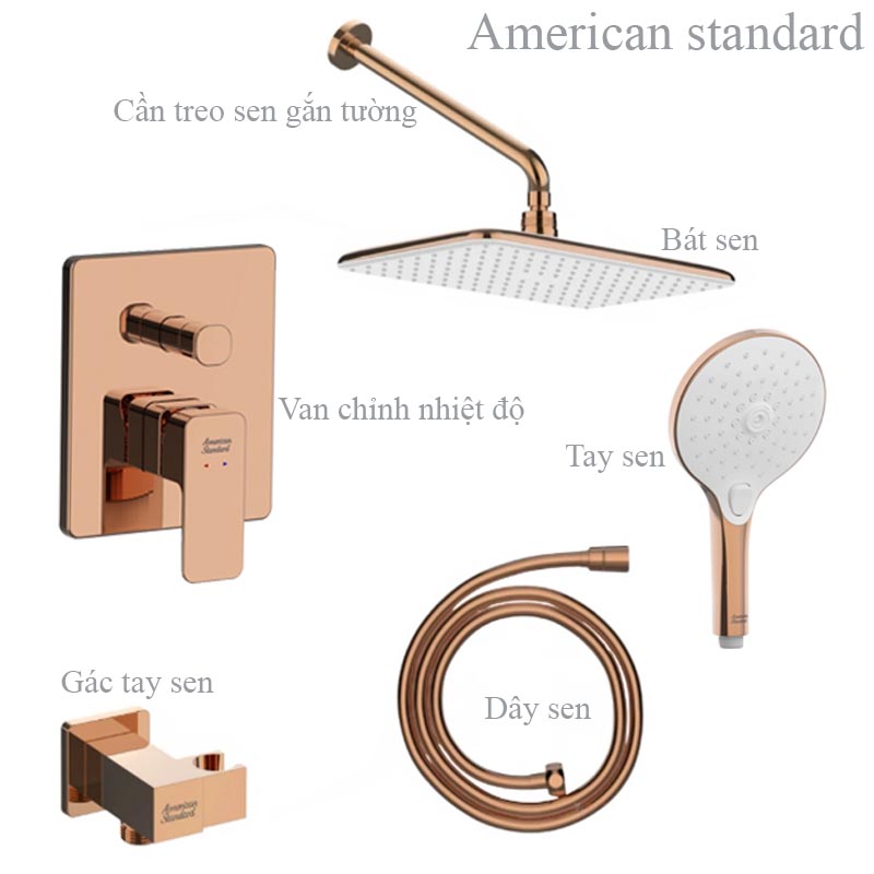Bộ vòi sen âm tường American Standard màu vàng hồng với chất liệu đồng sơn tỉnh điện màu vàng hồng sang trọng và tinh tế
