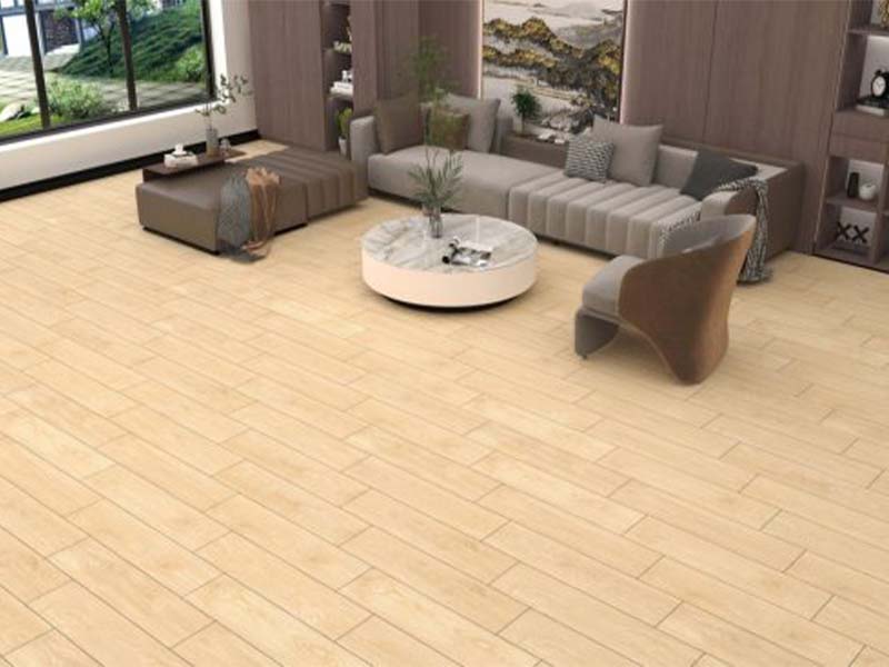 Toàn cảnh gạch lát sàn giả gỗ Đồng Tâm 2080BANYAN004-H+