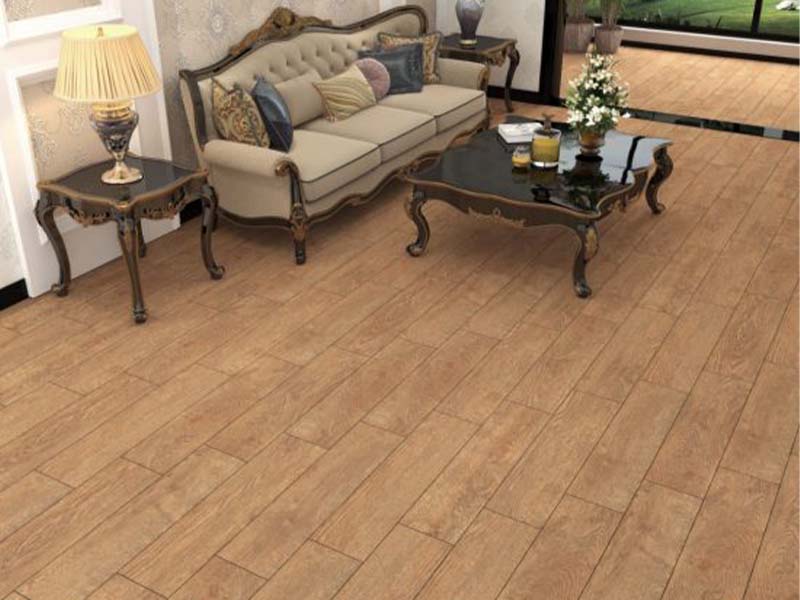 Toàn cảnh gạch lát nền vân gỗ Đồng Tâm 2080BANYAN005-H+