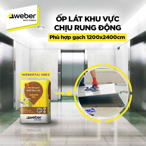 Keo dán gạch WeberTai Flex màu xám