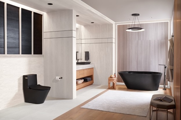 Bồn cầu đen và phụ kiện tươi sáng