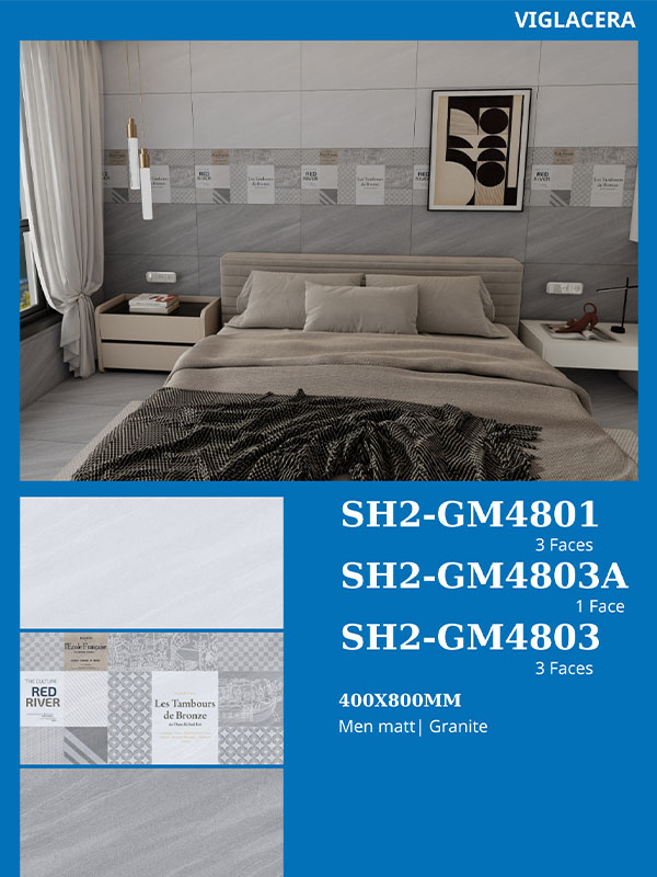 Phối cảnh gạch Viglacera 40x80 SH2-GM4801-03-03A