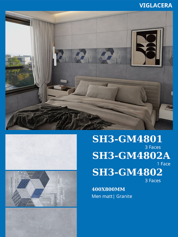 Phối cảnh gạch Viglacera 40x80 SH3-GM4801-02-02A