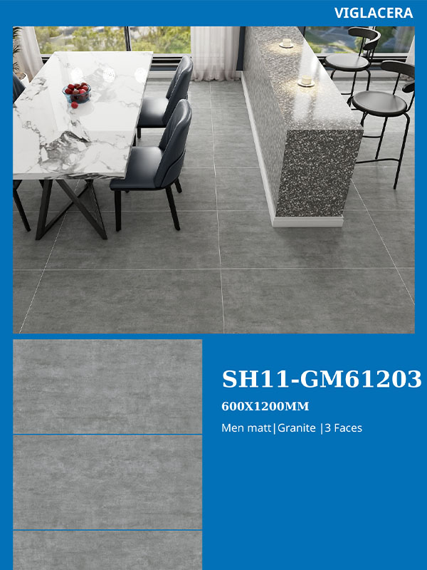 Phối cảnh gạch Viglacera 60x120 vân đá SH11-GM61203