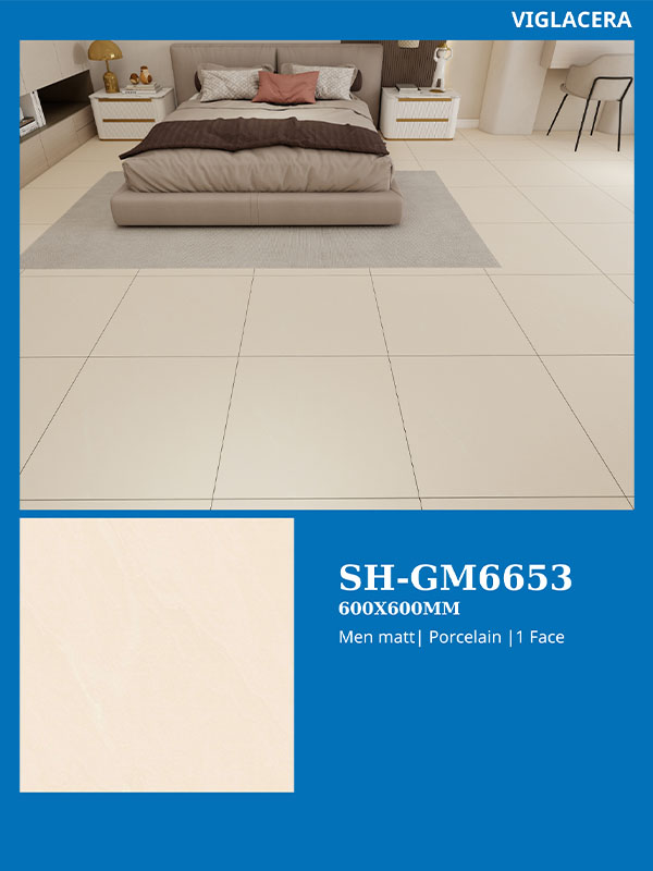 Phôi cảnh gạch ốp lát Viglacera SH-GM6653