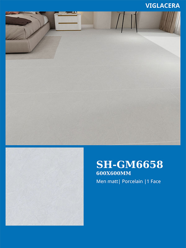 Phối cảnh gạch Viglacera 60x60 SH-GM6658