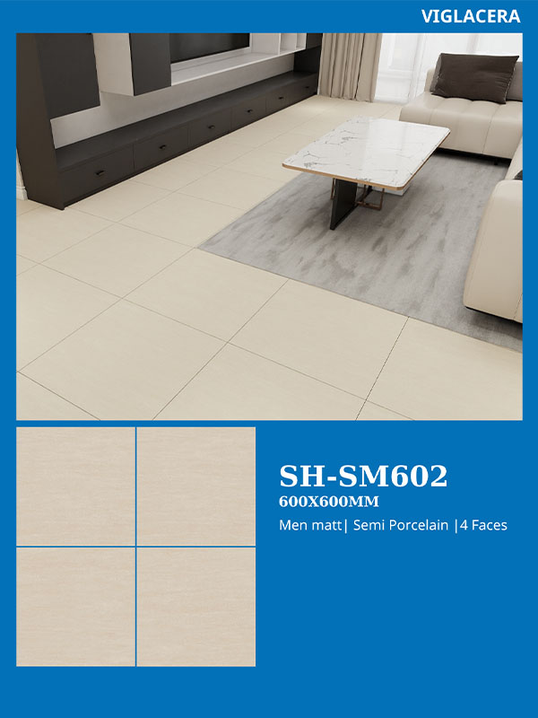 Phối cảnh gạch vân đá viglacera 60x60 SH-SM602