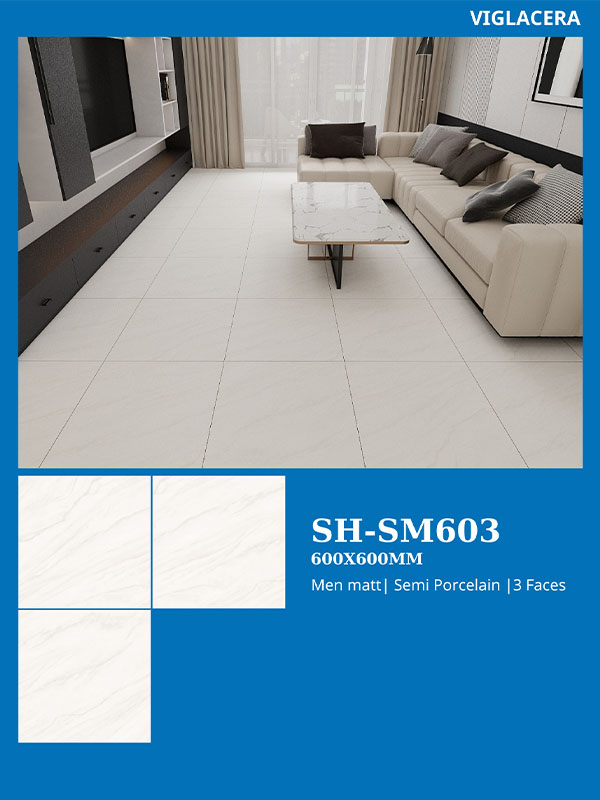 Phối cảnh gạch ốp lát viglacera SH-SM603
