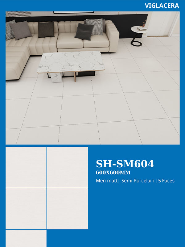 Phối cảnh gạch lát nền Viglacera SH-SM604