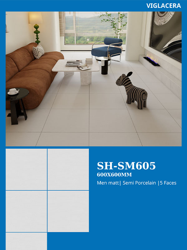 Phối cảnh gạch Viglacera 60x60 SH-SM605