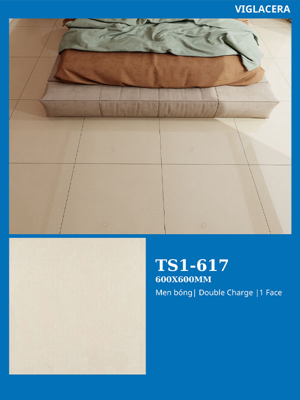 Phối cảnh gạch Viglacera 60x60 vân đá TS1-617