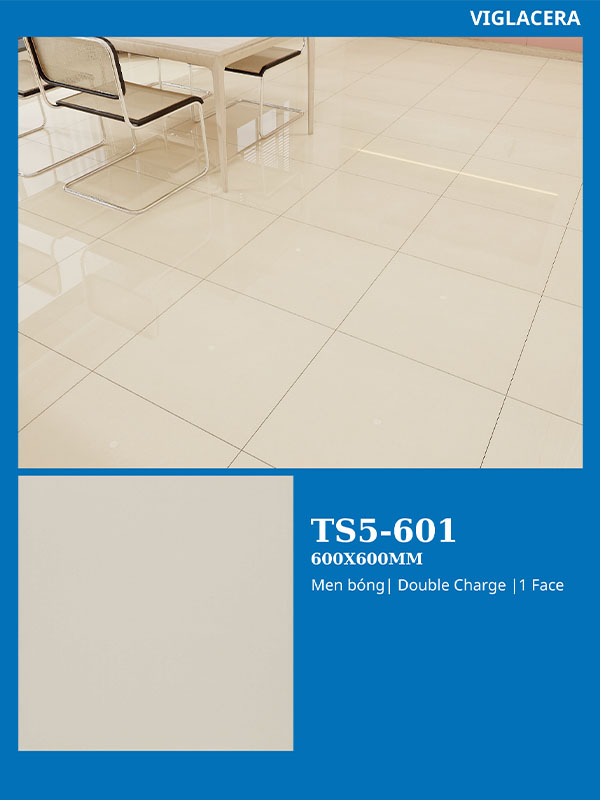 Phối cảnh gạch Viglacera 60x60 TS5-601 Porcelain